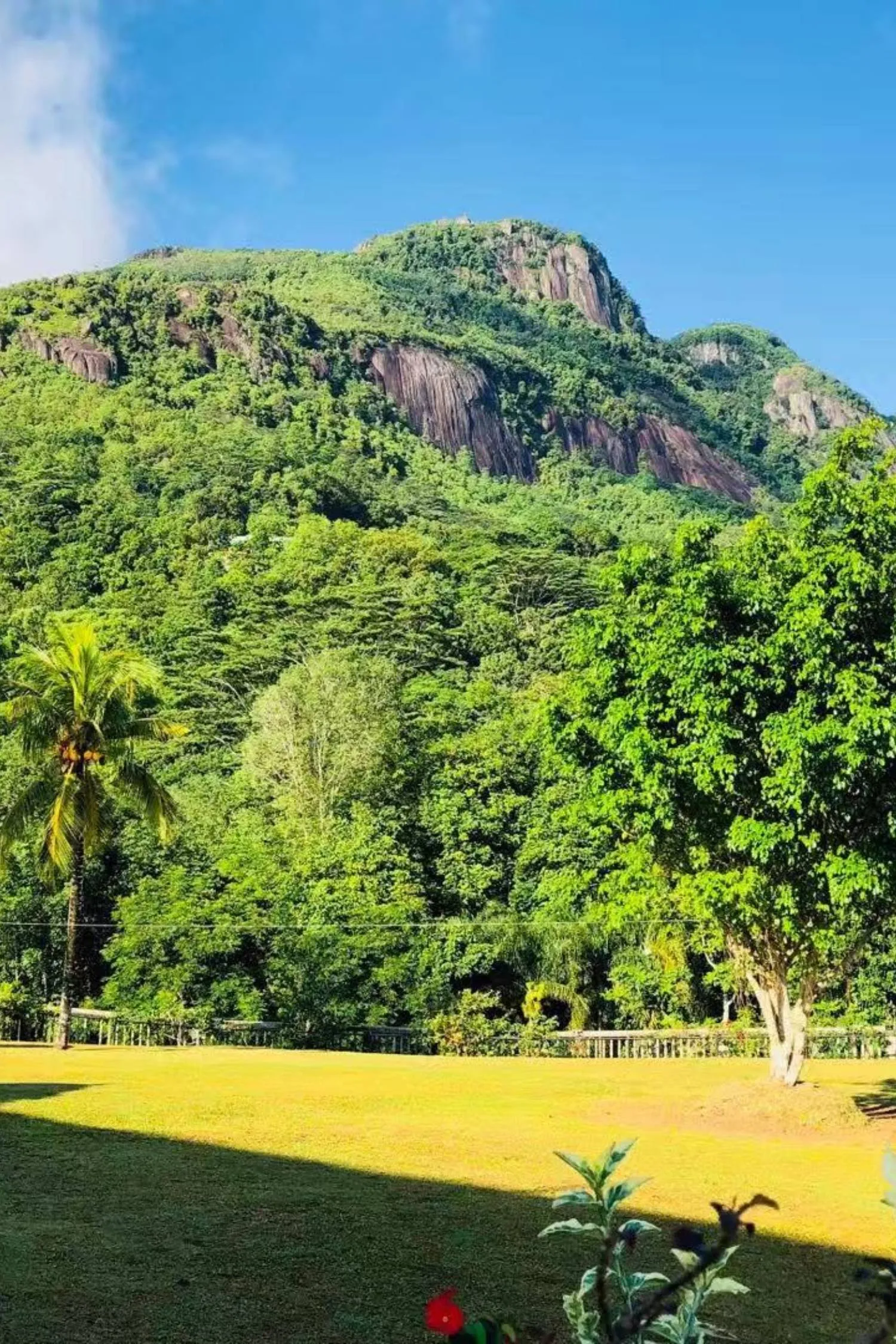 Blue Hill Seychelles Hill View