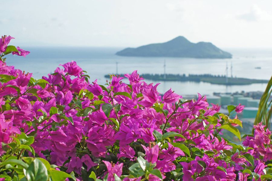 Blue Hill Seychelles Viewpoint 1