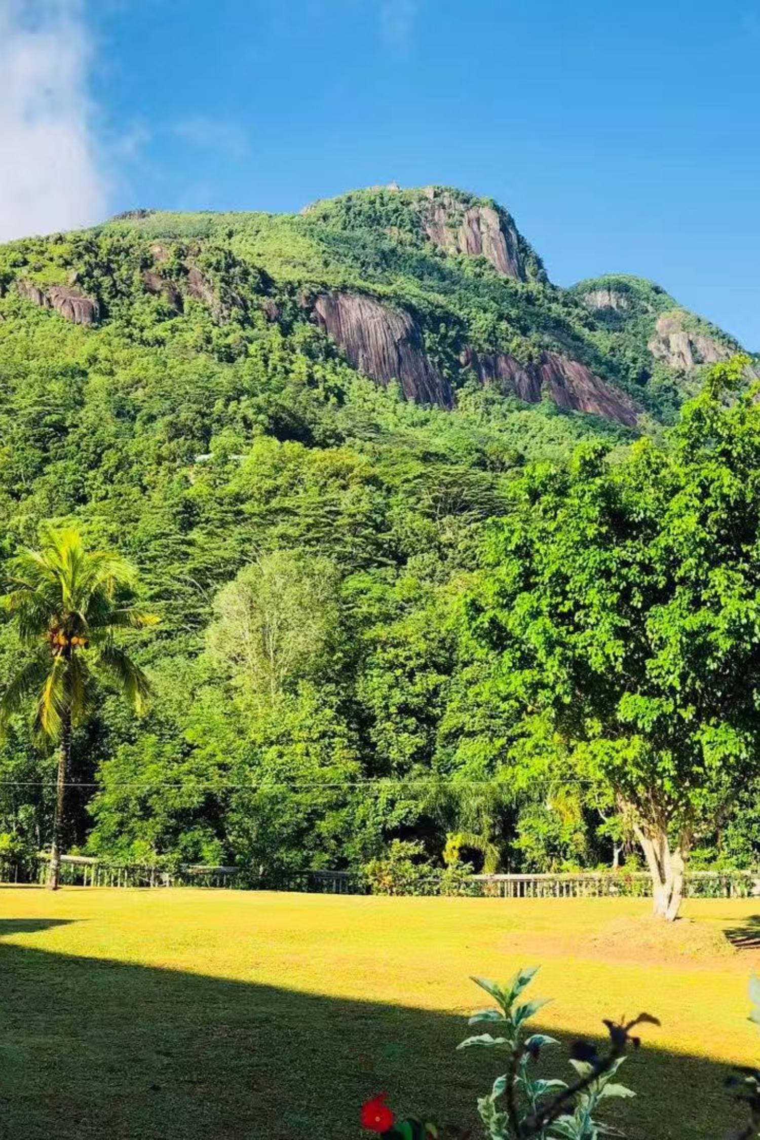 Blue Hill Seychelles Hill View